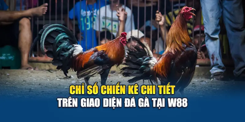Tổng Hợp Kinh Nghiệm Đá Gà Hiệu Quả Tại Nhà Cái W88 1 Chỉ số chiến kê chi tiết trên giao diện đá gà tại W88